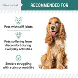 CHEW + HEAL - Chew + Heal Labs Green Lipped Mussel for Dogs 6 Oz. - The Red Vitamin MX - Cuidado De Cadera Y Articulaciones Para Perros - {{ shop.shopifyCountryName }}