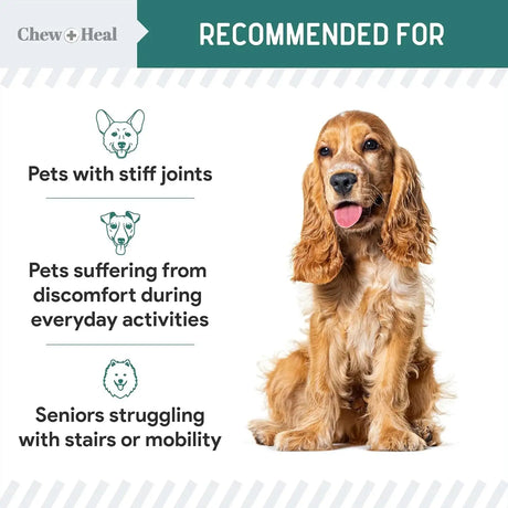 CHEW + HEAL - Chew + Heal Labs Green Lipped Mussel for Dogs 6 Oz. - The Red Vitamin MX - Cuidado De Cadera Y Articulaciones Para Perros - {{ shop.shopifyCountryName }}