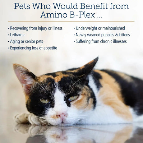 RX VITAMINS - Rx Vitamins Amino B Plex Cat & Dog Supplement 8 Fl.Oz. - The Red Vitamin MX - Medicamentos Sin Receta Para Perros - {{ shop.shopifyCountryName }}