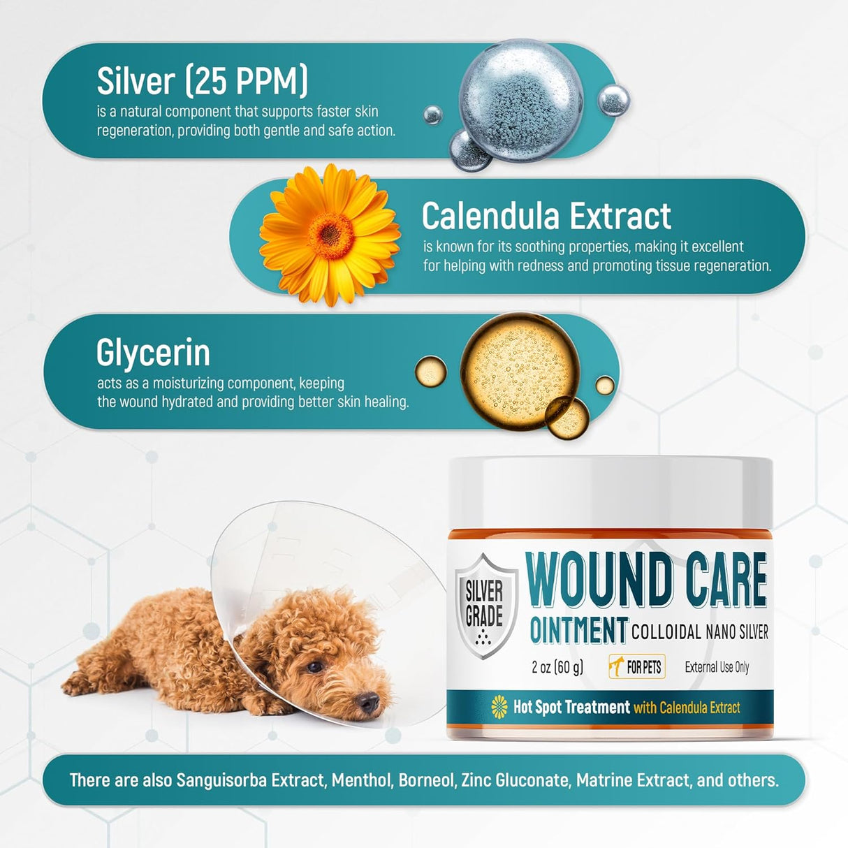 SILVER GRADE Hot Spot Treatment for Dogs 2 Oz.