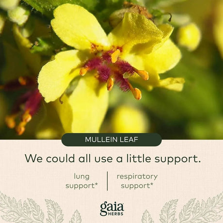 GAIA HERBS - Gaia Herbs Mighty Lungs 60 Capsulas - The Red Vitamin MX - Suplementos Alimenticios - {{ shop.shopifyCountryName }}