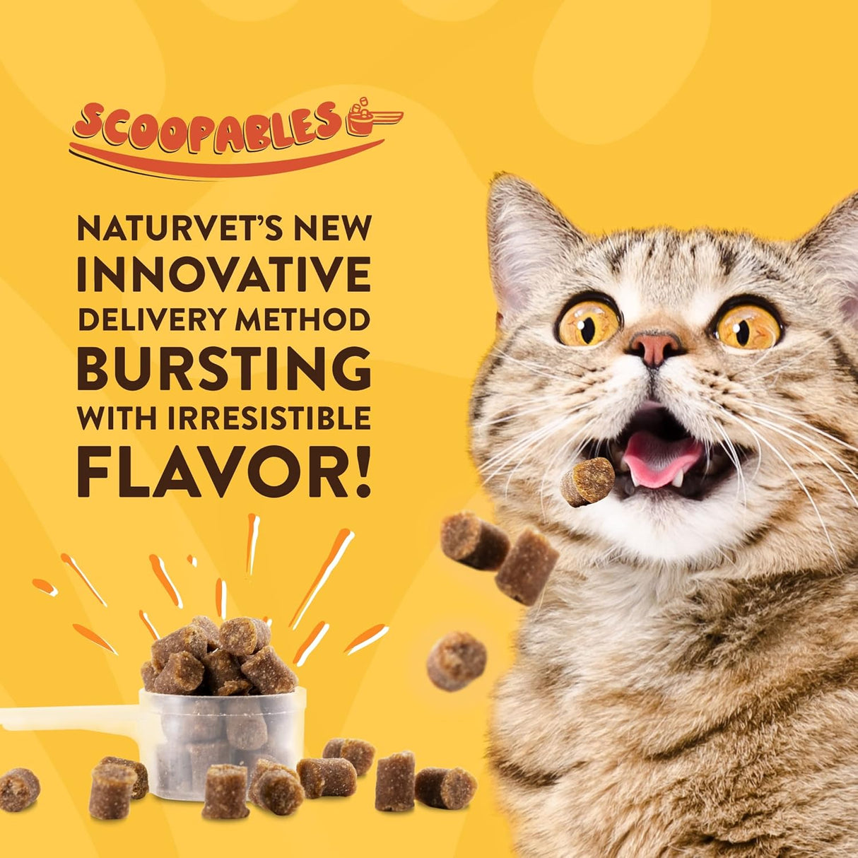 NaturVet Scoopables Quiet Moments Cat Calming Aid Salmon Flavored 157Gr.