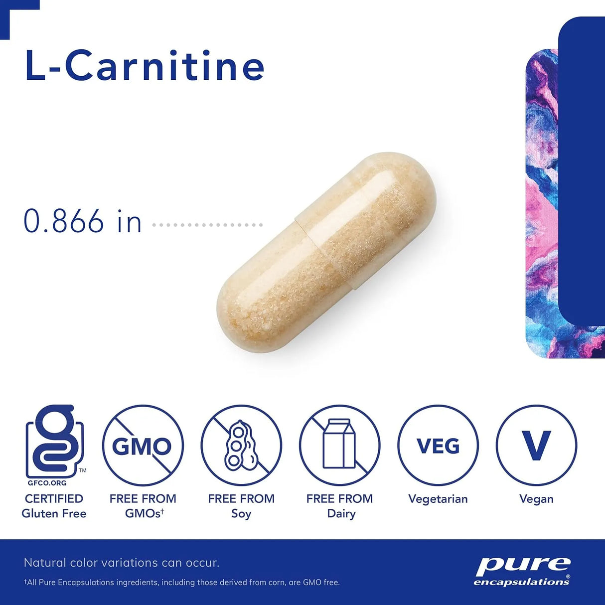 PURE ENCAPSULATIONS - Pure Encapsulations L-Carnitine 60 Capsulas - The Red Vitamin MX - Suplementos Alimenticios - {{ shop.shopifyCountryName }}