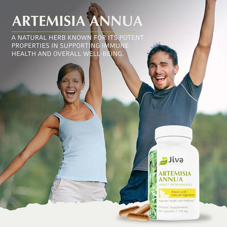 JIVA BOTANICALS - Jiva Botanicals Artemisia Annua Sweet Wormwood 150Mg. 90 Capsulas - The Red Vitamin MX - Suplementos Alimenticios - {{ shop.shopifyCountryName }}