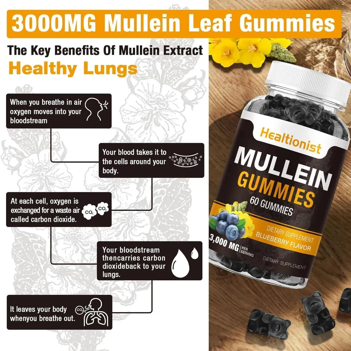 HEALTIONIST - Healtionist Sugar Free Mullein Gummies 3000Mg. 60 Gomitas - The Red Vitamin MX - Suplementos Alimenticios - {{ shop.shopifyCountryName }}