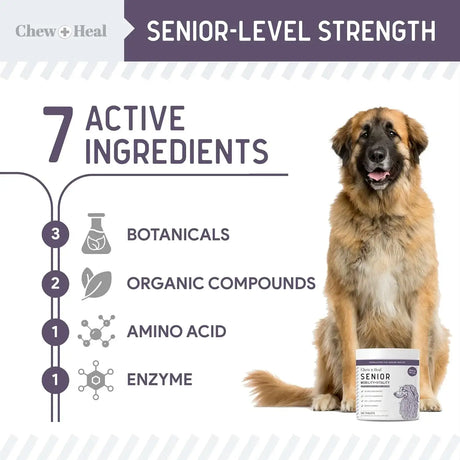 CHEW + HEAL - Chew + Heal Labs Senior Mobility and Vitality 120 Tabletas - The Red Vitamin MX - Cuidado De Cadera Y Articulaciones Para Perros - {{ shop.shopifyCountryName }}