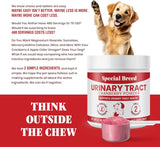 SPECIAL BREED - Special Breed Urinary Tract Health Cranberry for Dogs 96Gr. - The Red Vitamin MX - Salud De Tracto Urinario Para Perros - {{ shop.shopifyCountryName }}