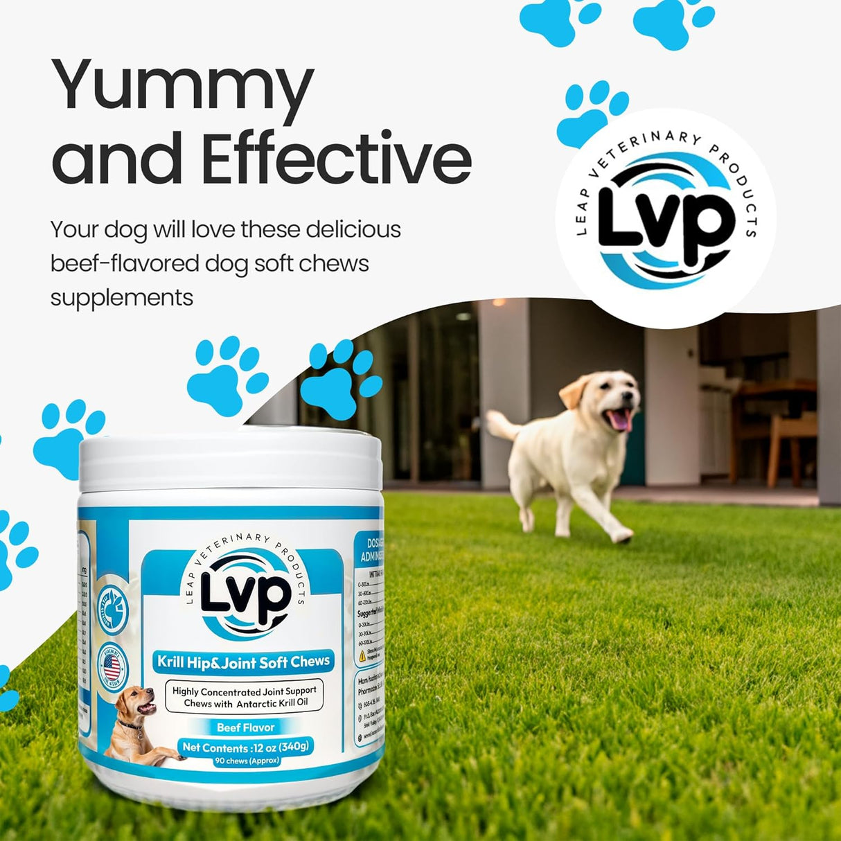 Leap Pharmaceuticals Pet Hip & Joint Supplements 90 Masticables