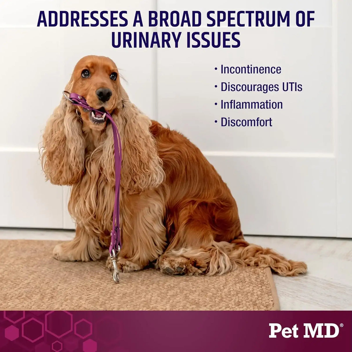 PET MD - Pet MD Bladder Support Plus Cranberry for Dogs 60 Masticables - The Red Vitamin MX - Salud De Tracto Urinario Para Perros - {{ shop.shopifyCountryName }}