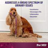 PET MD - Pet MD Bladder Support Plus Cranberry for Dogs 60 Masticables - The Red Vitamin MX - Salud De Tracto Urinario Para Perros - {{ shop.shopifyCountryName }}