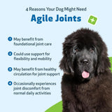 PET WELLBEING - Pet Wellbeing Agile Joints for Dogs 2 Fl.Oz. - The Red Vitamin MX - Cuidado De Cadera Y Articulaciones Para Perros - {{ shop.shopifyCountryName }}