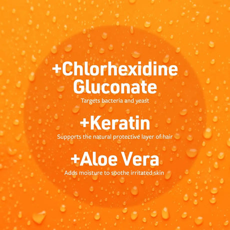 VETERINARY FORMULA - Veterinary Formula Clinical Care Antiseptic and Antifungal Medicated Spray for Dogs & Cats 8 Fl.Oz. - The Red Vitamin MX - Remedios Para La Picazón De Perros - {{ shop.shopifyCountryName }}