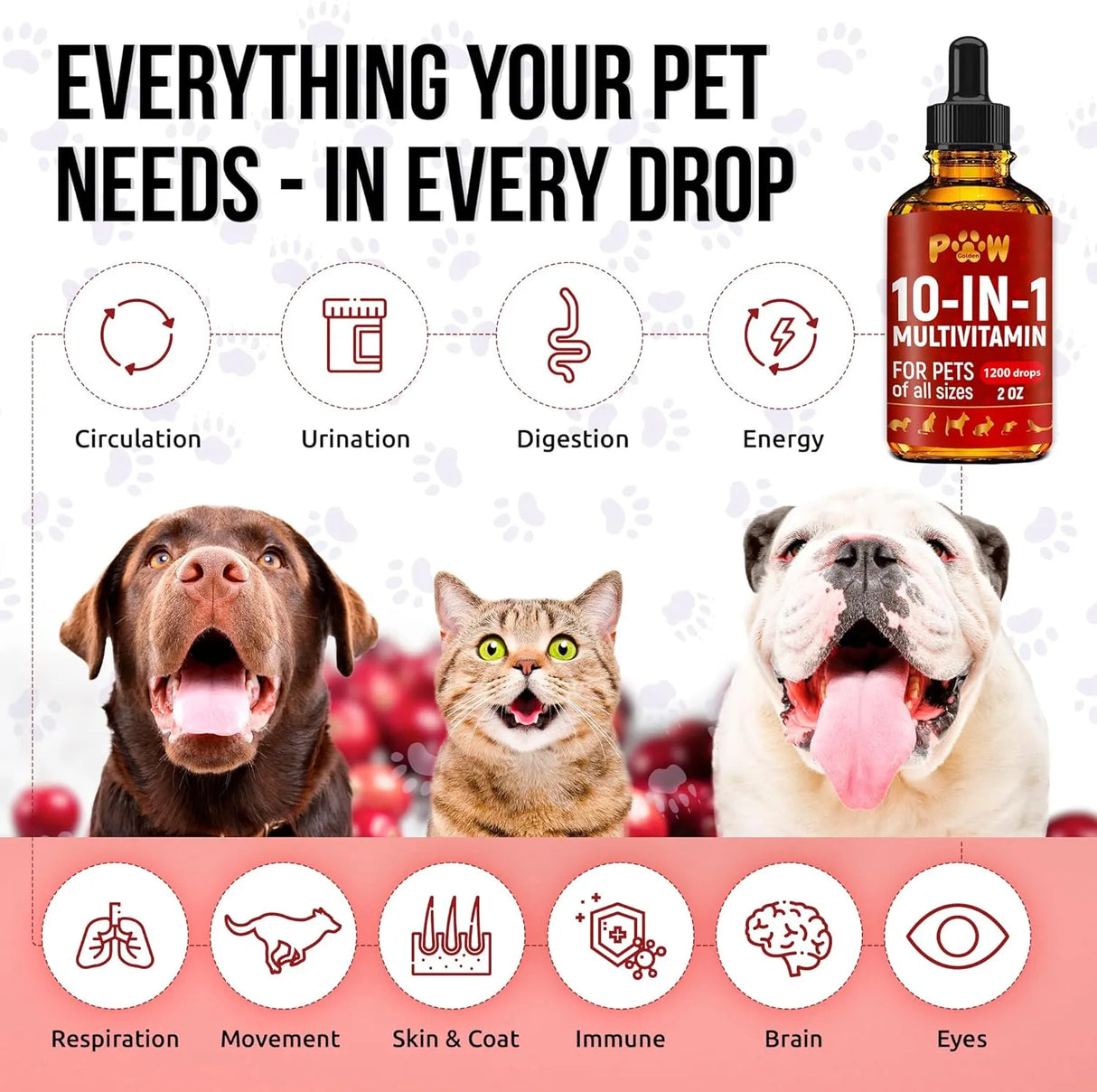 GOLDEN PAW - Golden Paw Liquid Multivitamin for Dogs 2 Fl.Oz. - The Red Vitamin MX - Multivitamínicos Para Perros - {{ shop.shopifyCountryName }}