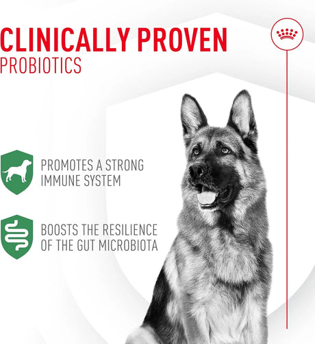 ROYAL CANIN - Royal Canin Probiotics for Dogs 30 Paquetes - The Red Vitamin MX - Probióticos Para Perros - {{ shop.shopifyCountryName }}