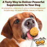 Riley's Calming Peanut Butter for Dogs 60 Servicios 240Gr.