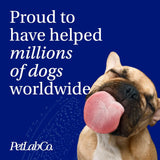 PETLAB CO. - PetLab Co. Allergy & Immune Daily Probiotics Medium Size Dogs 30 Masticables - The Red Vitamin MX - Probióticos Para Perros - {{ shop.shopifyCountryName }}