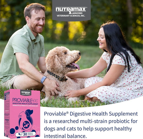 NUTRAMAX - Nutramax Proviable Probiotics for Dogs and Cats 30 Capsulas - The Red Vitamin MX - Probióticos Para Perros - {{ shop.shopifyCountryName }}