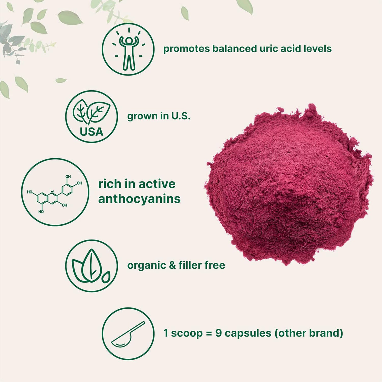 Micro Ingredients Organic Tart Cherry Powder 113Gr.