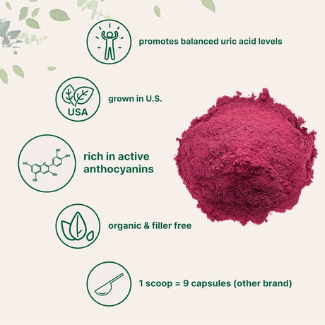 MICRO INGREDIENTS - Micro Ingredients Organic Tart Cherry Powder 113Gr. - The Red Vitamin MX - Suplementos Alimenticios - {{ shop.shopifyCountryName }}
