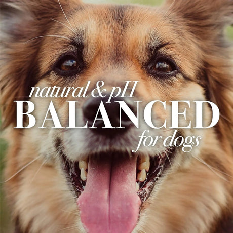 BURT'S BEES - Burt's Bees for Pets Eye Wash with Saline Solution for Dogs 4 Fl.Oz. - The Red Vitamin MX - Cuidado De Los Ojos De Los Perros - {{ shop.shopifyCountryName }}