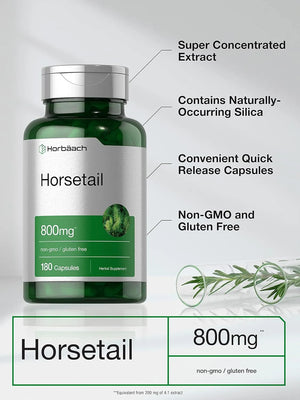 HORBAACH - Horbaach Horsetail Herb 800Mg. 180 Capsulas - The Red Vitamin MX - Suplementos Alimenticios - {{ shop.shopifyCountryName }}