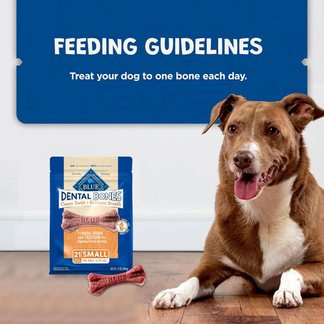 BLUE BUFFALO - Blue Buffalo Dental Bones Small Natural Dental Chew Dog Treats 21 Piezas - The Red Vitamin MX - Cuidado Dental Para Perros - {{ shop.shopifyCountryName }}
