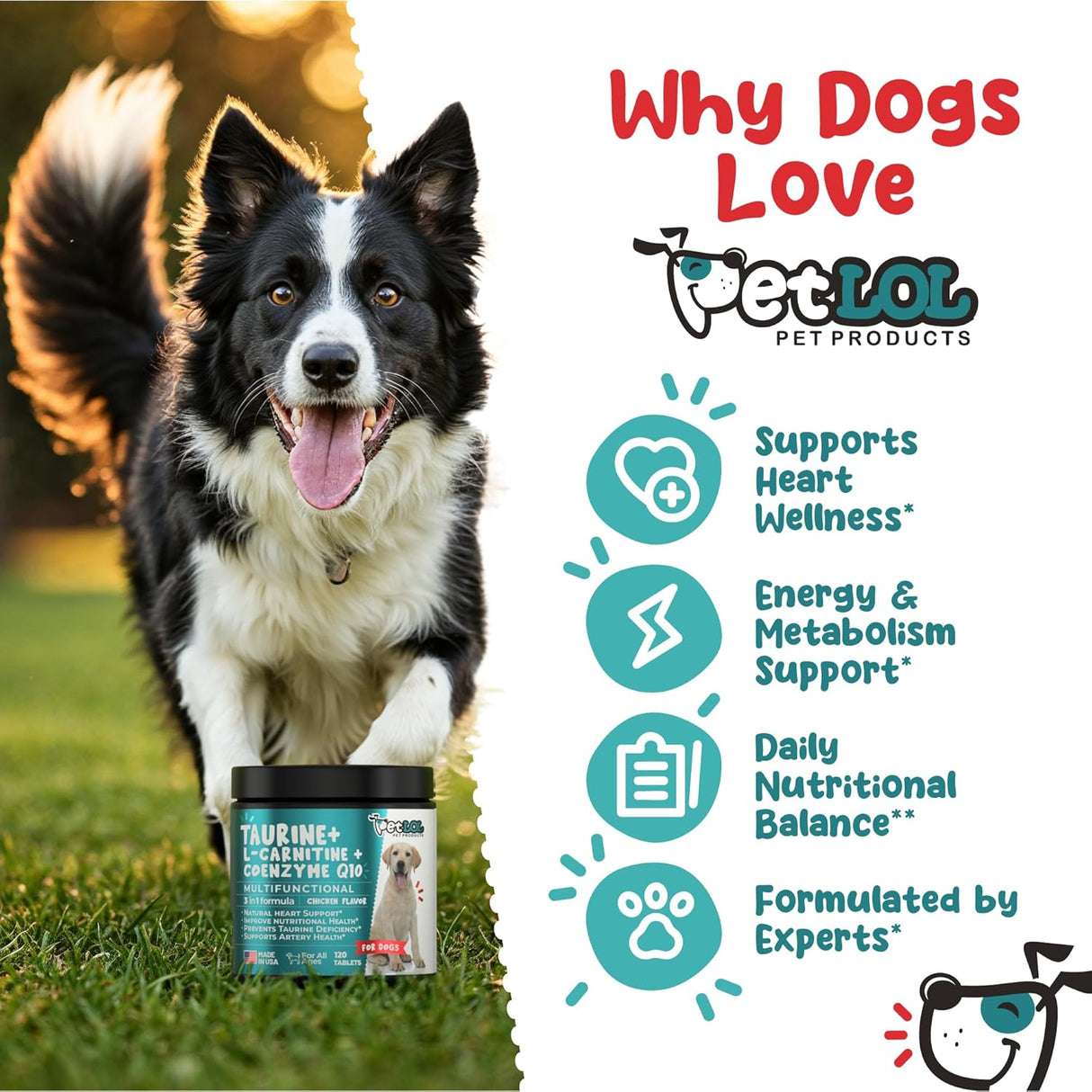 PET LOL Taurine for Dogs with L-Carnitine and Coenzyme Q10 120 Masticables