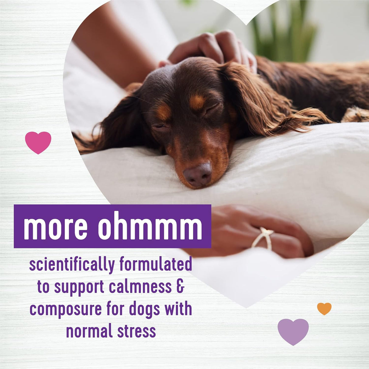Wellness Tasty Cheese Flavored Soft Chews Calming 90 Masticables