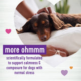 Wellness Tasty Cheese Flavored Soft Chews Calming 90 Masticables