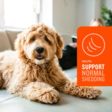 VetIQ Skin and Coat Supplement for Dogs 60 Masticables 2 Pack