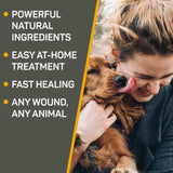 Absorbine Silver Honey Hot Spot & Wound Care Ointment for Dogs 2 Oz.