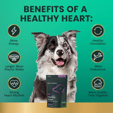 VetriScience Extra Strength Healthy Heart Chews 60 Masticables