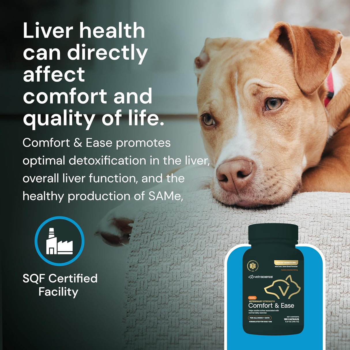 VETRISCIENCE Veterinary Strength Comfort & Ease 180 Capsulas