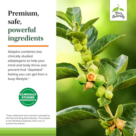 TERRY NATURALLY - Terry Naturally Adaptra 60 Capsulas - The Red Vitamin MX - Suplementos Alimenticios - {{ shop.shopifyCountryName }}