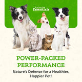 ANIMAL ESSENTIALS - Animal Essentials Combat Turkey Tail Mushroom 70Gr. - The Red Vitamin MX - Suplementos Herbales Para Perros - {{ shop.shopifyCountryName }}