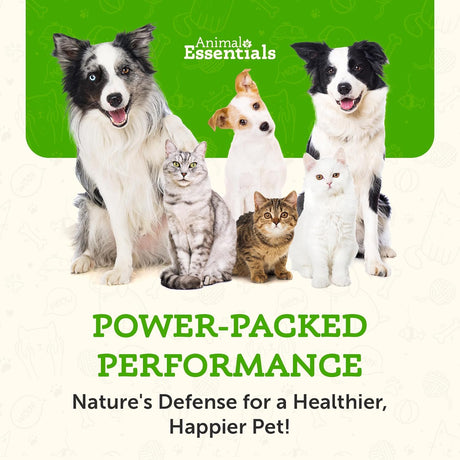 ANIMAL ESSENTIALS - Animal Essentials Combat Turkey Tail Mushroom 70Gr. - The Red Vitamin MX - Suplementos Herbales Para Perros - {{ shop.shopifyCountryName }}