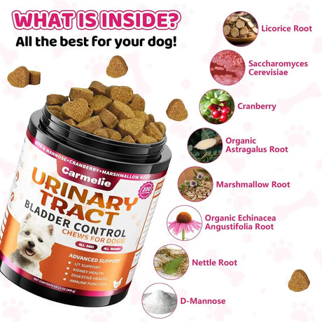 CARMELIE - Carmelie Dog Urinary Tract Supplement 200 Masticables - The Red Vitamin MX - Salud De Tracto Urinario Para Perros - {{ shop.shopifyCountryName }}