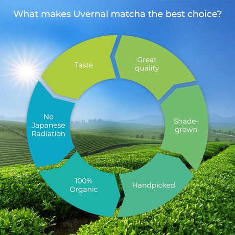UVERNAL - uVernal Organic Matcha Green Tea Powder 454Gr. - The Red Vitamin MX - Suplementos Alimenticios - {{ shop.shopifyCountryName }}