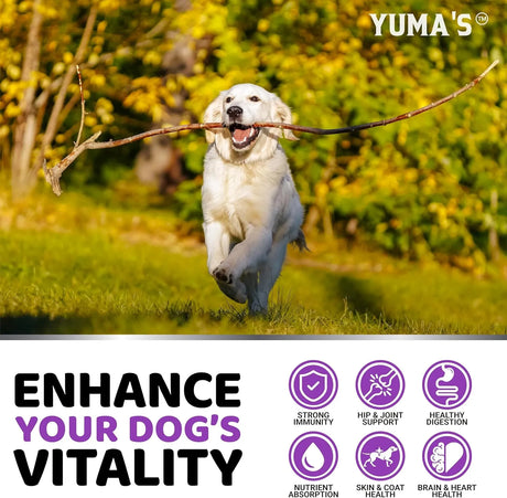 YUMA'S - YUMA'S Dog Multivitamin Chewable with Glucosamine 170 Masticables - The Red Vitamin MX - Multivitamínicos Para Perros - {{ shop.shopifyCountryName }}