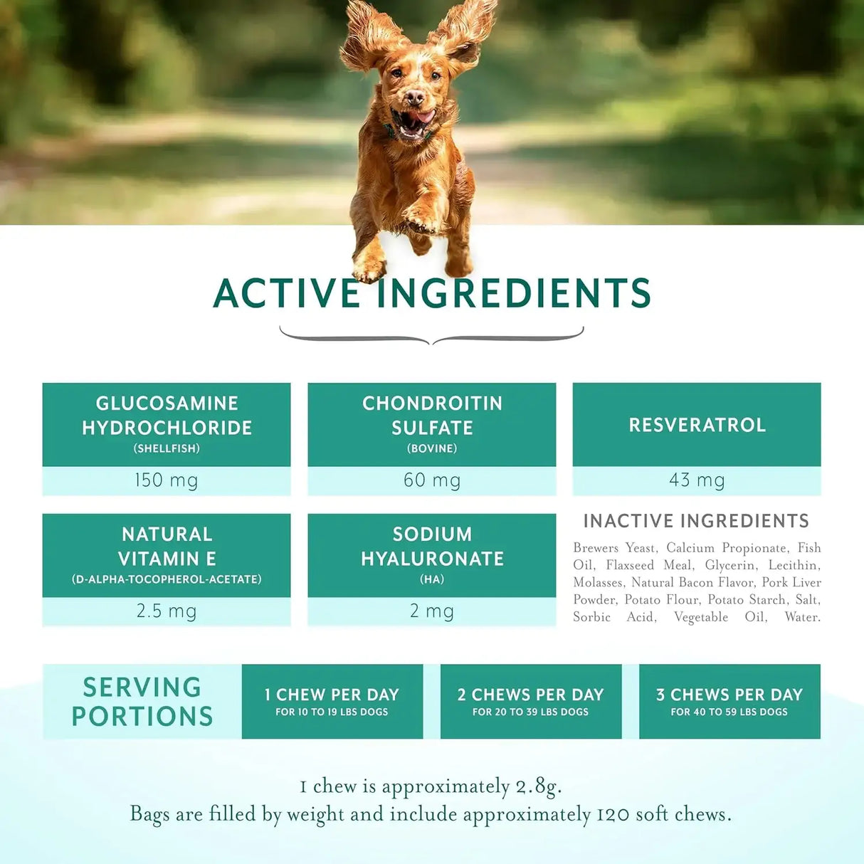 PETHRIVE - PetThrive Dog Hip and Joint Support Soft Chews Small Breed 120 Masticables - The Red Vitamin MX - Cuidado De Cadera Y Articulaciones Para Perros - {{ shop.shopifyCountryName }}