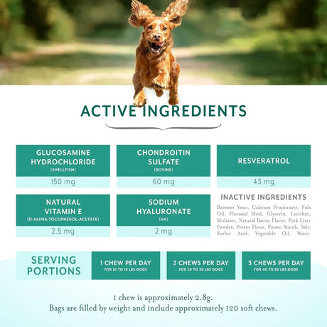 PETHRIVE - PetThrive Dog Hip and Joint Support Soft Chews Small Breed 120 Masticables - The Red Vitamin MX - Cuidado De Cadera Y Articulaciones Para Perros - {{ shop.shopifyCountryName }}