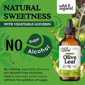 WILD & ORGANIC - Wild & Organic Olive Leaf Extract Liquid Drops 4 Fl.Oz. - The Red Vitamin MX - Suplementos Alimenticios - {{ shop.shopifyCountryName }}