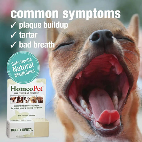HOMEOPET - HomeoPet Doggy Dental Care 15Ml. - The Red Vitamin MX - Cuidado Dental Para Perros - {{ shop.shopifyCountryName }}