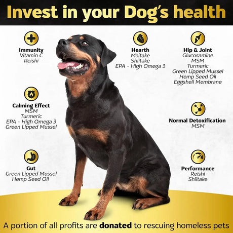 LIFE4LEGS - Life4Legs Soft Chews Hip and Joint Supplement for Dogs Duck Flavor 90 Masticables - The Red Vitamin MX - Cuidado De Cadera Y Articulaciones Para Perros - {{ shop.shopifyCountryName }}