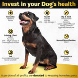 LIFE4LEGS - Life4Legs Soft Chews Hip and Joint Supplement for Dogs Bacon Flavor 30 Masticables - The Red Vitamin MX - Cuidado De Cadera Y Articulaciones Para Perros - {{ shop.shopifyCountryName }}