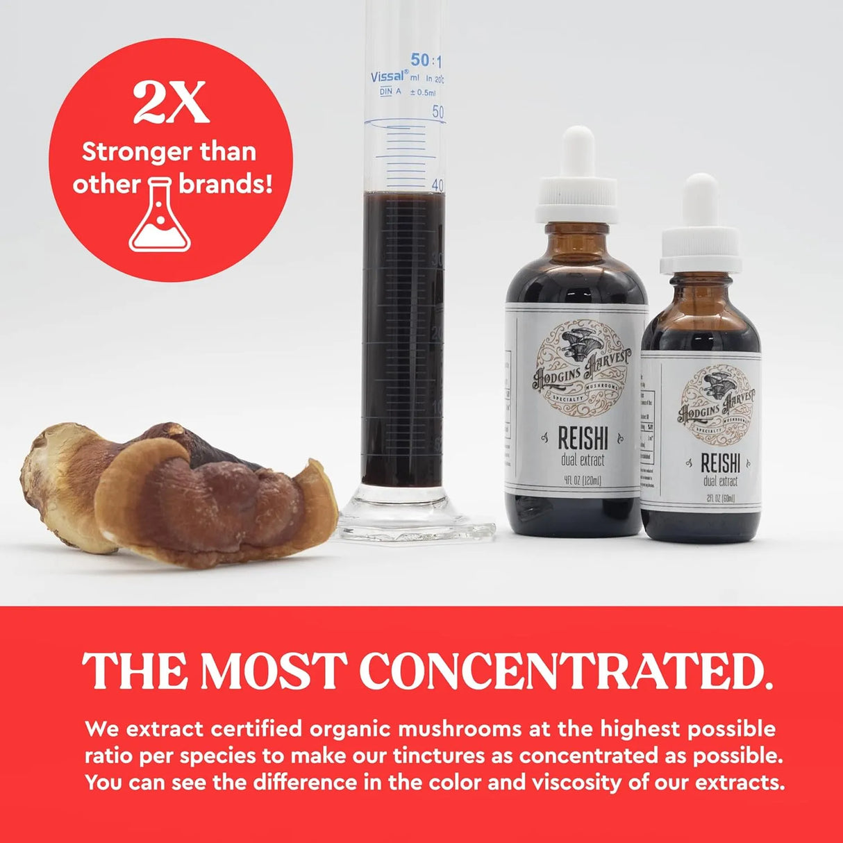 HODGINS HARVEST - Hodgins Harvest Organic Reishi Tincture 4 Fl.Oz. - The Red Vitamin MX - Suplementos Alimenticios - {{ shop.shopifyCountryName }}