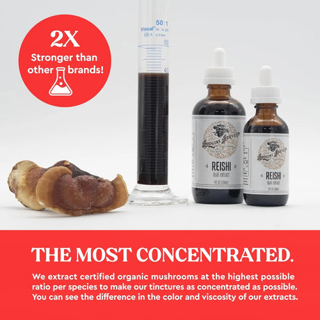 HODGINS HARVEST - Hodgins Harvest Organic Reishi Tincture 4 Fl.Oz. - The Red Vitamin MX - Suplementos Alimenticios - {{ shop.shopifyCountryName }}