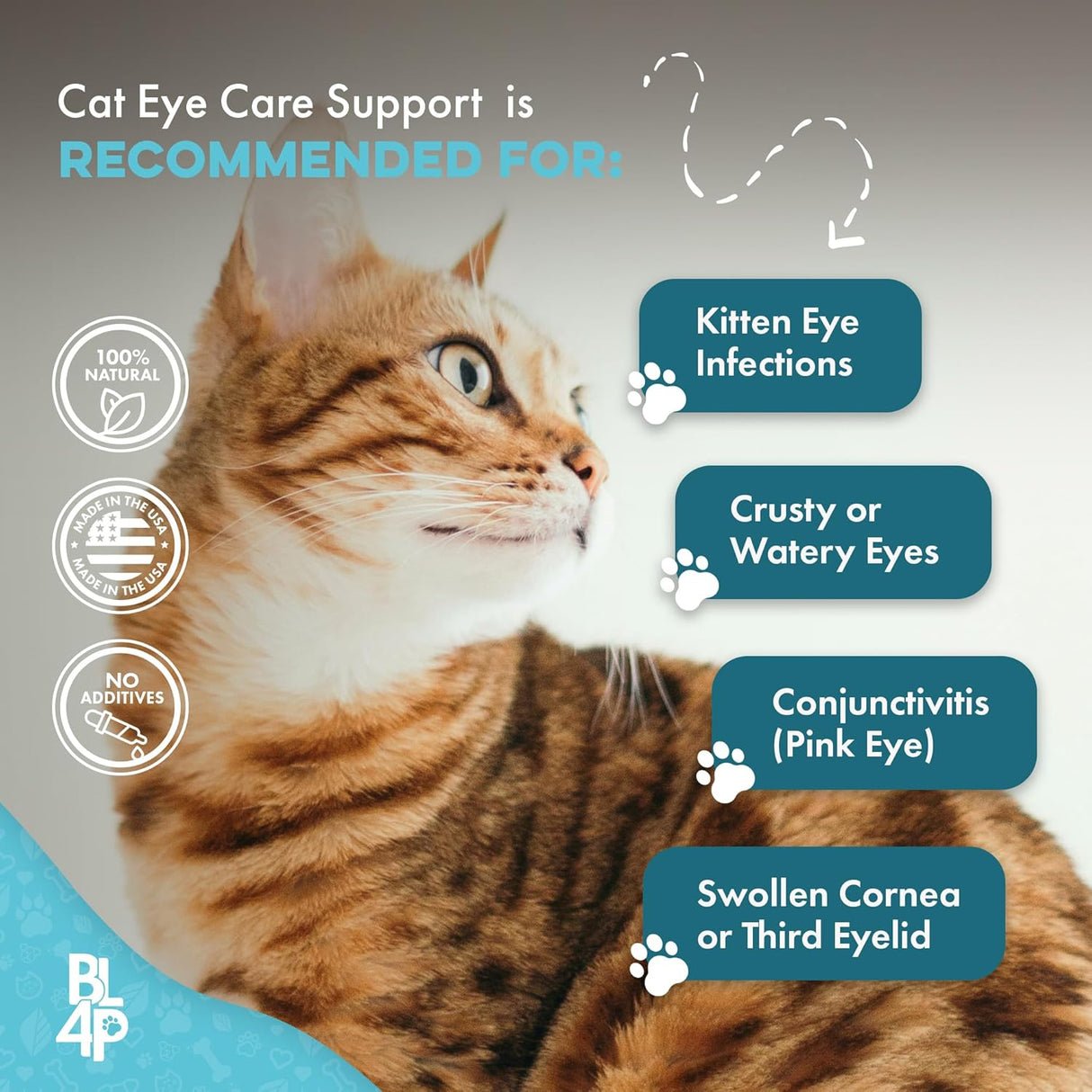 BestLife4Pets Cat Eye Infection & Vision Care Support 400 Tabletas