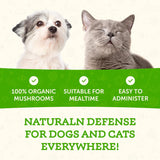 ANIMAL ESSENTIALS - Animal Essentials Wellness Maitake Mushroom 80Gr. - The Red Vitamin MX - Suplementos Herbales Para Perros - {{ shop.shopifyCountryName }}