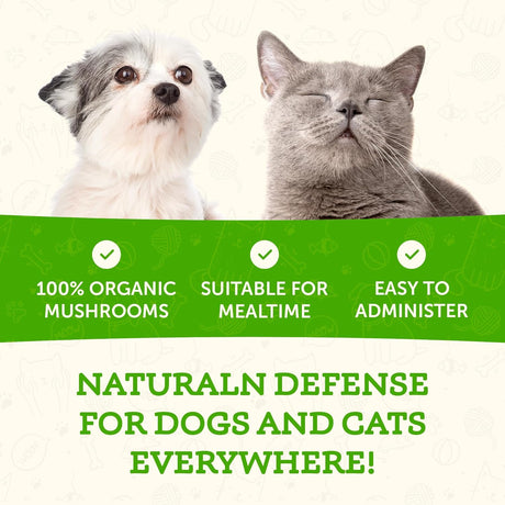 ANIMAL ESSENTIALS - Animal Essentials Wellness Maitake Mushroom 80Gr. - The Red Vitamin MX - Suplementos Herbales Para Perros - {{ shop.shopifyCountryName }}